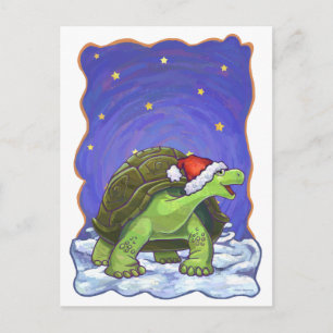 Cartes Pour Fêtes Annuelles Noël de la tortue nocturne étoilée