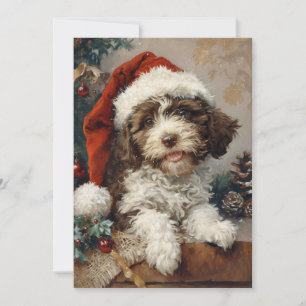 Cartes Pour Fêtes Annuelles Noël de Lagotto Romagnolo