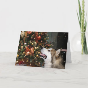 Cartes Pour Fêtes Annuelles Noël de Malamute en Alaska