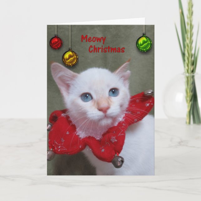 Cartes Pour Fêtes Annuelles Noël de Meowy - point de flamme siamois (Devant)
