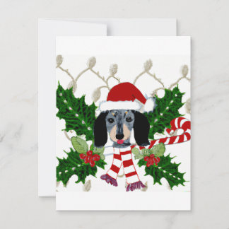 Cartes Pour Fêtes Annuelles Noël de mignonne Dachshund et Holly Wreath