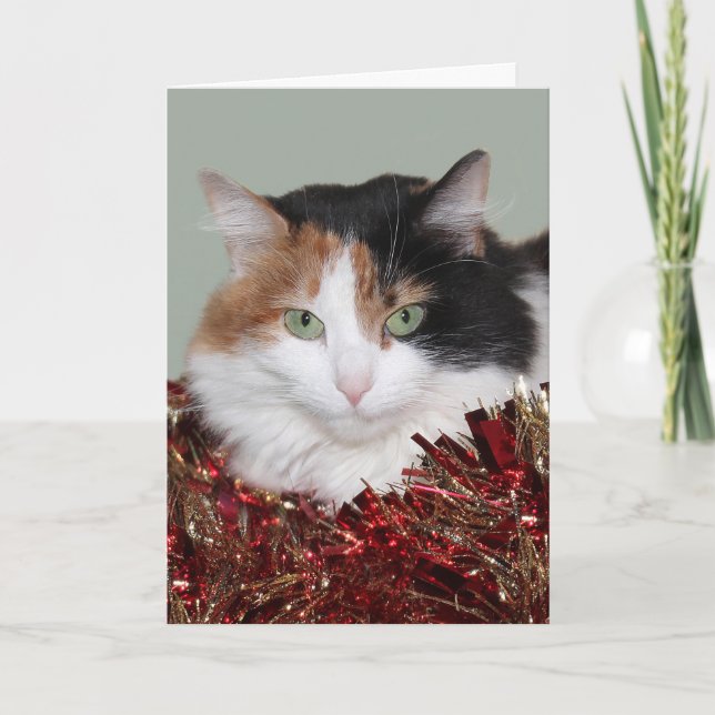 Cartes Pour Fêtes Annuelles Noël de minou de calicot (Devant)