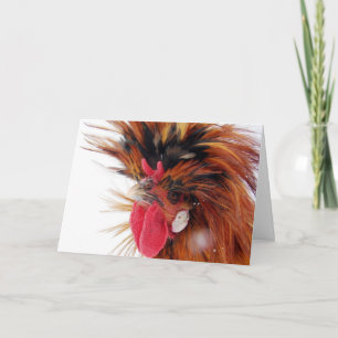 Cartes Pour Fêtes Annuelles Noël de neige hivernale à coq polonais