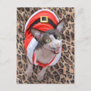 Cartes Pour Fêtes Annuelles Noël de Ninja Père Noël de chat de Sphynx
