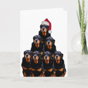 Cartes Pour Fêtes Annuelles Noël de rottweiler