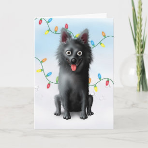 Cartes Pour Fêtes Annuelles Noël de Schipperke