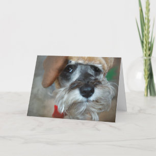 Cartes Pour Fêtes Annuelles Noël de Schnauzer