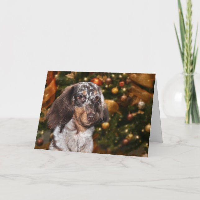 Cartes Pour Fêtes Annuelles Noël de teckel (Devant)