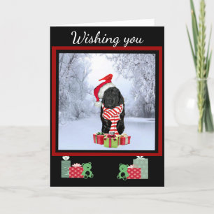 Cartes Pour Fêtes Annuelles Noël de Terre-Neuve