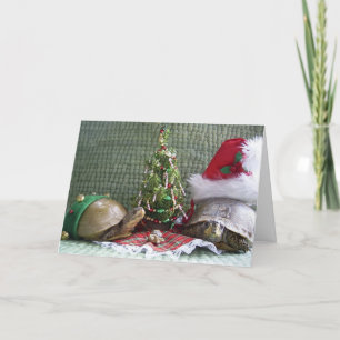 Cartes Pour Fêtes Annuelles Noël de tortue
