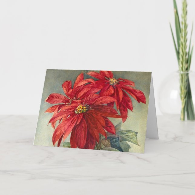 Cartes Pour Fêtes Annuelles Noël de vintage Poinsettia (Devant)