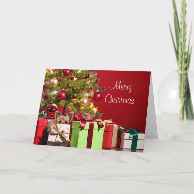Cartes Pour Fêtes Annuelles Noël de Yorkie (Devant)