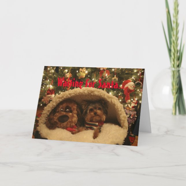 Cartes Pour Fêtes Annuelles Noël de Yorkie (Devant)