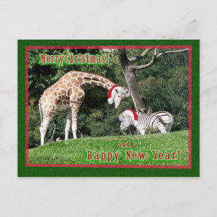 Cartes Pour Fêtes Annuelles Noël de zèbre de girafe