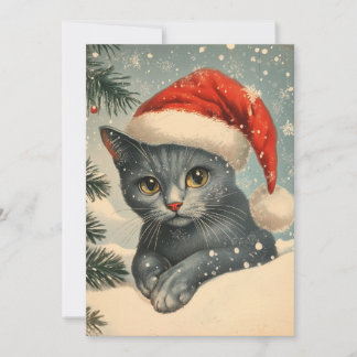 Cartes Pour Fêtes Annuelles Noël des chats Chartreux