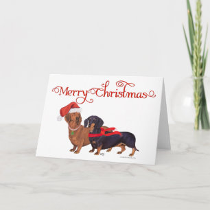 Cartes Pour Fêtes Annuelles Noël des Dachshunds