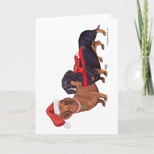 Cartes Pour Fêtes Annuelles Noël des Dachshunds (Devant)