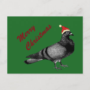 Cartes Pour Fêtes Annuelles noël des pigeons