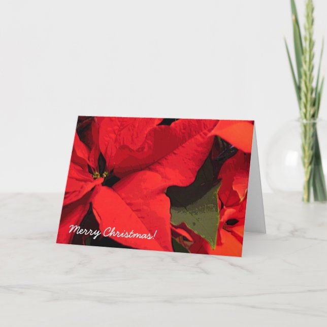 Cartes Pour Fêtes Annuelles Noël des Pointsettis (Devant)