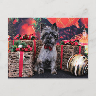 Cartes Pour Fêtes Annuelles Noël - Dexter - cairn
