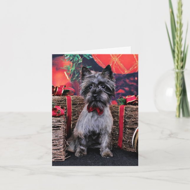 Cartes Pour Fêtes Annuelles Noël - Dexter - Cairn (Devant)