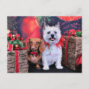 Cartes Pour Fêtes Annuelles Noël - Doxie Butch - Cairn Stella