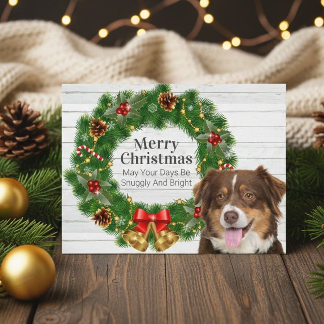 Cartes Pour Fêtes Annuelles Noël du berger australien (Australian Shepherd Christmas  Holiday Postcard)