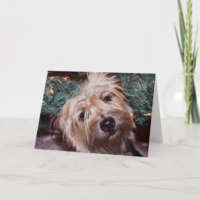 Cartes Pour Fêtes Annuelles Noël du Caire (Devant)