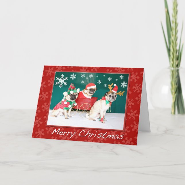 Cartes Pour Fêtes Annuelles Noël du carlin trois (Devant)