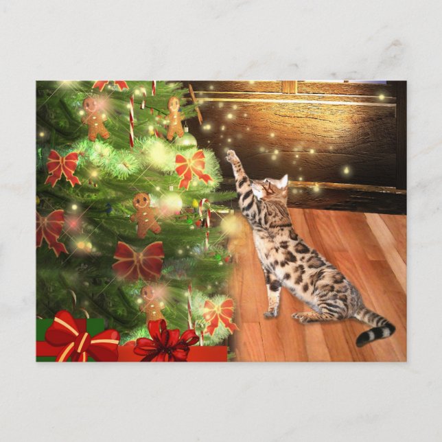 Cartes Pour Fêtes Annuelles Noël du chat du Bengale (Devant)