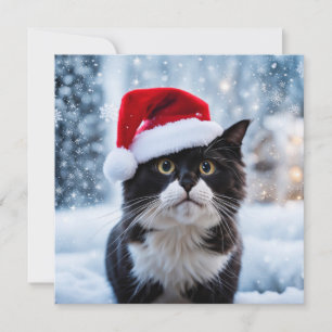 Cartes Pour Fêtes Annuelles Noël du chat noir et blanc
