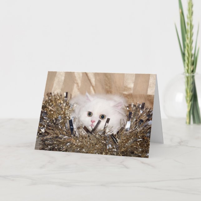 Cartes Pour Fêtes Annuelles Noël du chat perse blanc (Devant)