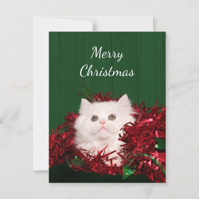 Cartes Pour Fêtes Annuelles Noël du chat perse blanc (Devant)