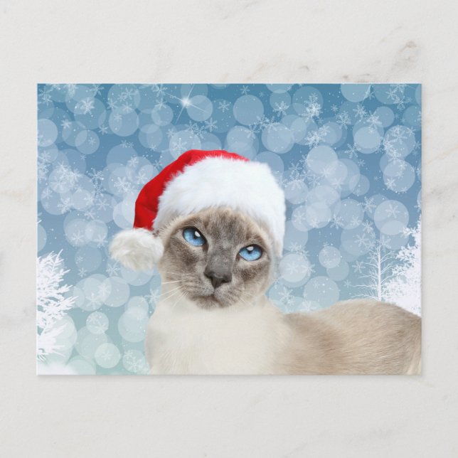 Cartes Pour Fêtes Annuelles Noël du chat siamois (Devant)