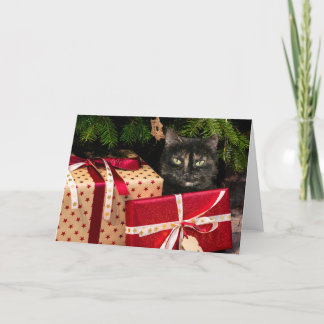 Cartes Pour Fêtes Annuelles Noël du chat Toristeshell