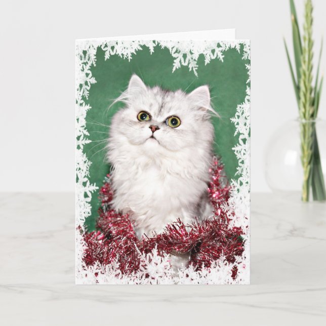 Cartes Pour Fêtes Annuelles Noël du chaton perse (Devant)