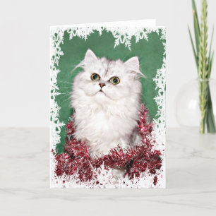 Cartes Pour Fêtes Annuelles Noël du chaton perse