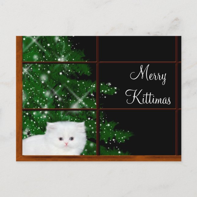 Cartes Pour Fêtes Annuelles Noël du chaton perse blanc (Devant)