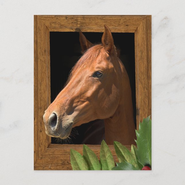 Cartes Pour Fêtes Annuelles Noël du cheval (Devant)