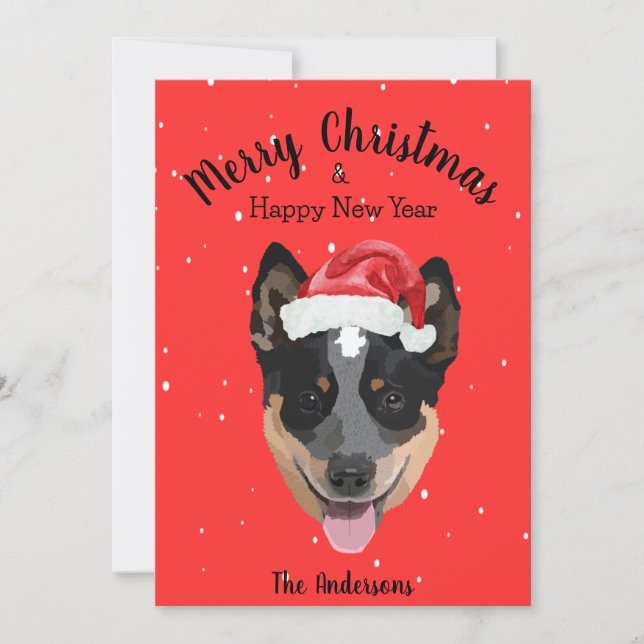 Cartes Pour Fêtes Annuelles Noël du chien de bétail australien (Devant)