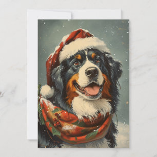 Cartes Pour Fêtes Annuelles Noël du chien de montagne bernois