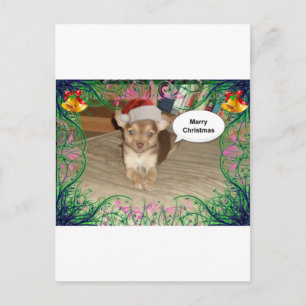 Cartes Pour Fêtes Annuelles Noël du Chihuahua