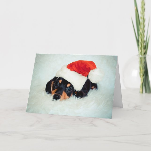 Cartes Pour Fêtes Annuelles Noël du chiot Dachshund (Devant)