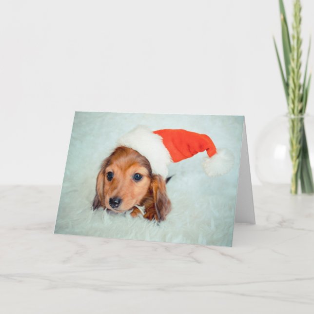 Cartes Pour Fêtes Annuelles Noël du chiot Dachshund (Devant)