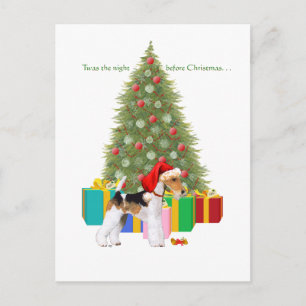 Cartes Pour Fêtes Annuelles Noël du Fox Terrier à poil dur