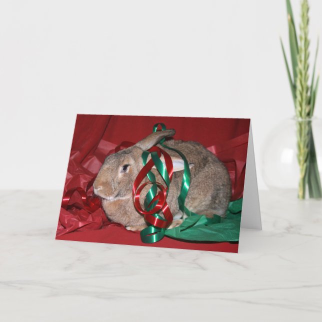 Cartes Pour Fêtes Annuelles Noël du lapin (Devant)