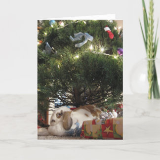 Cartes Pour Fêtes Annuelles Noël du tarte de bonbon