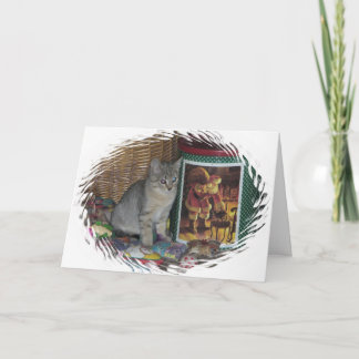 Cartes Pour Fêtes Annuelles Noël d'un chaton
