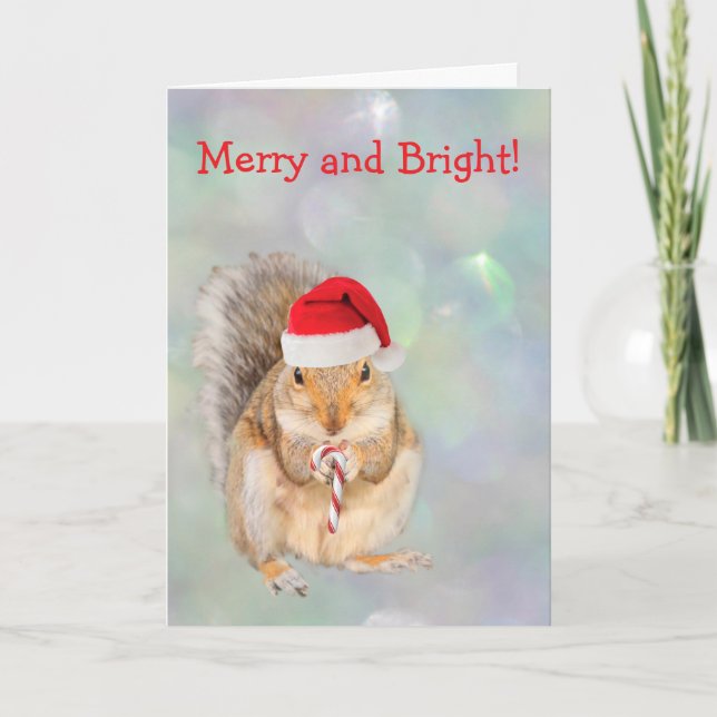 Cartes Pour Fêtes Annuelles Noël écureuil et canne à sucre  (Devant)