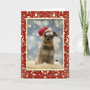 Cartes Pour Fêtes Annuelles Noël Elégant Red Golden Dog